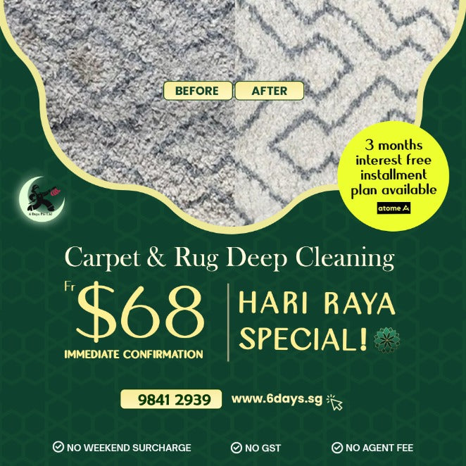 Carpet Cleaning