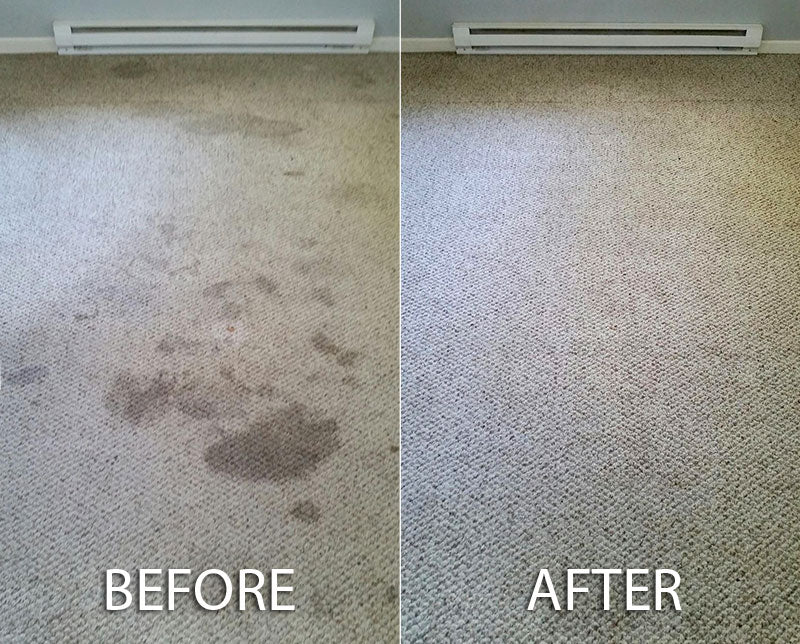 Carpet Cleaning