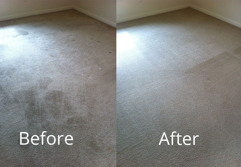 Carpet Cleaning