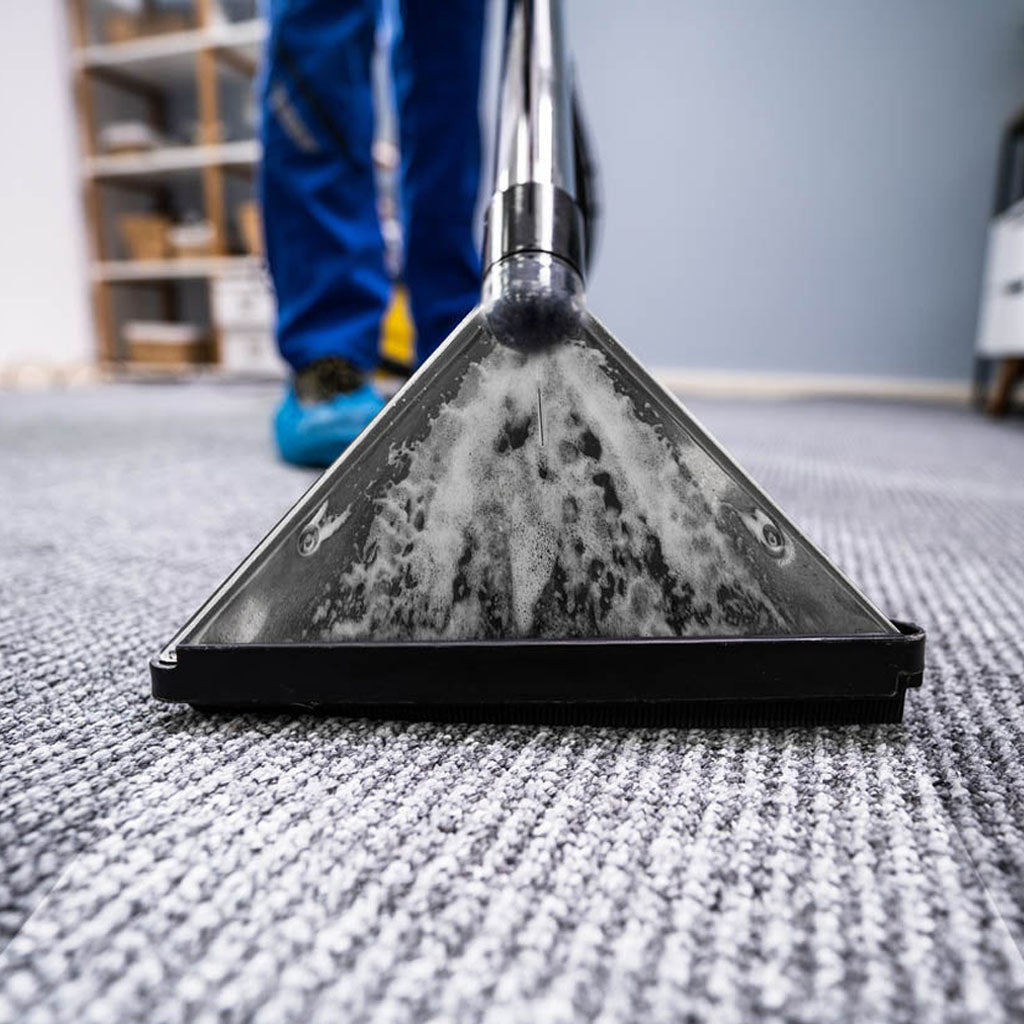 Carpet Cleaning