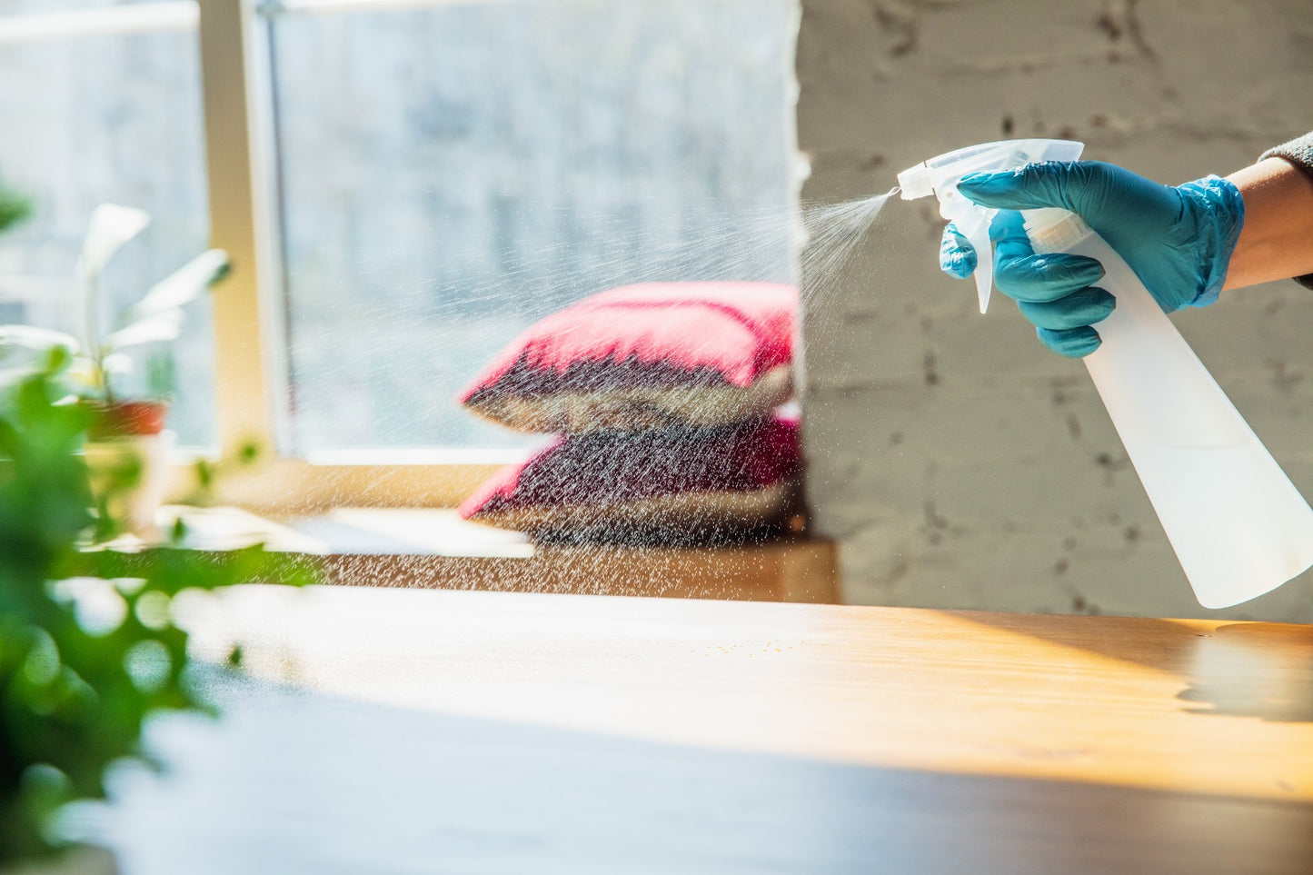 Weekly/ Fortnightly Part Time Cleaning from $20/hr